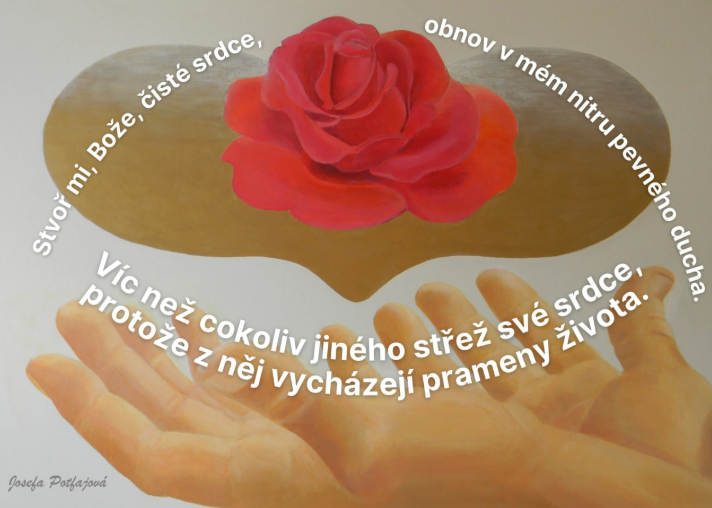 Ciste srdce web.png